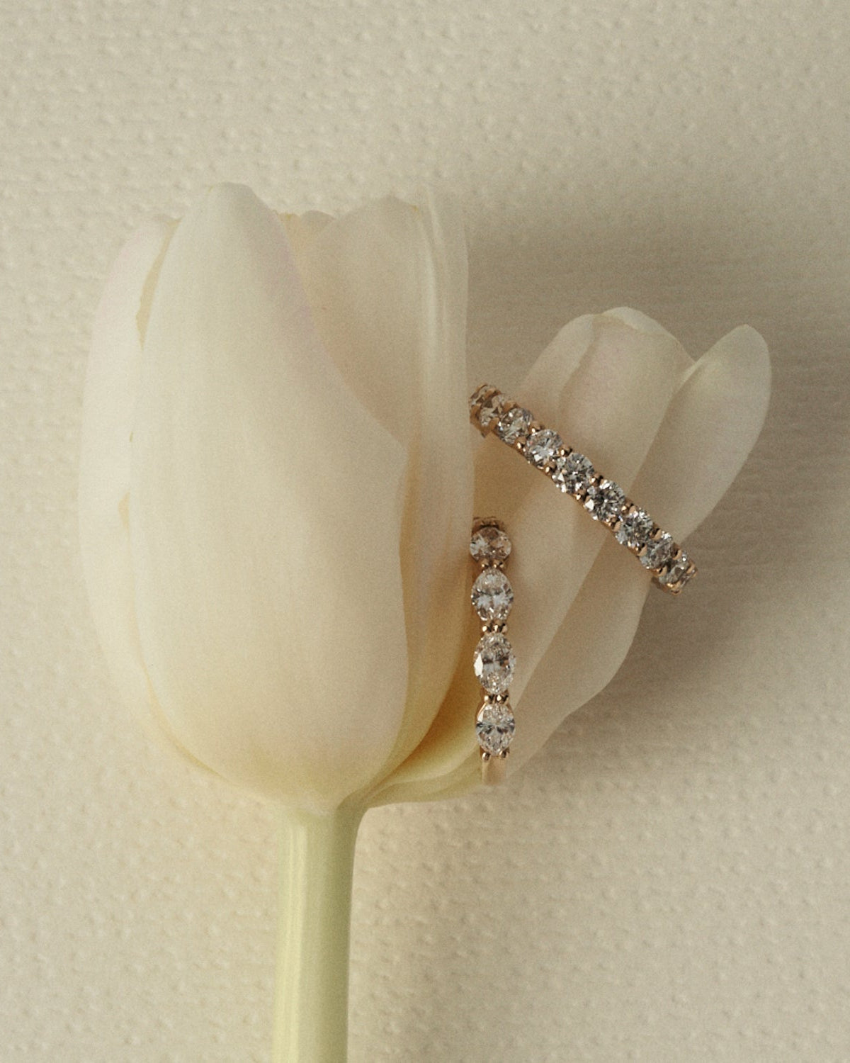 Pair of diamond wedding bands on a white tulip against a beige background