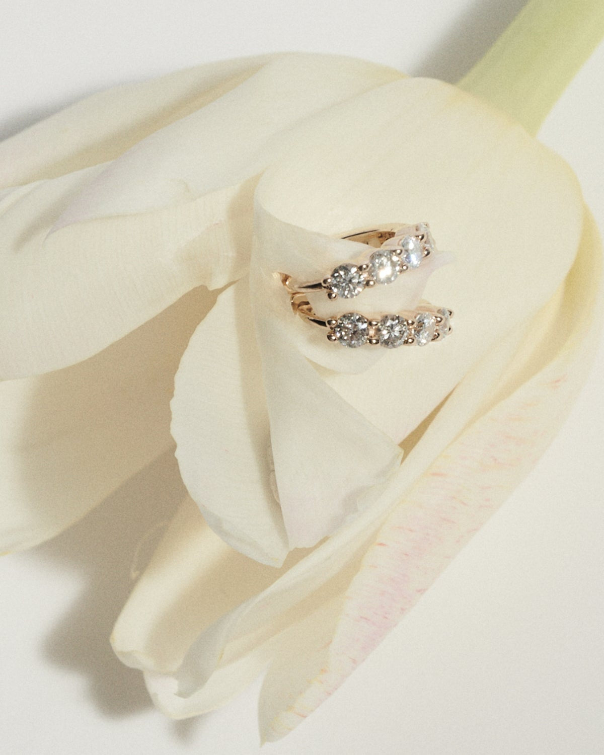 Pair of diamond earrings on a white tulip petal [text overlay: Signature Diamond Huggies]
