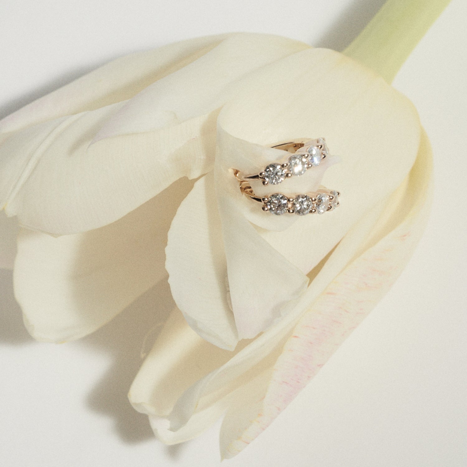 Pair of diamond earrings on a white tulip petal