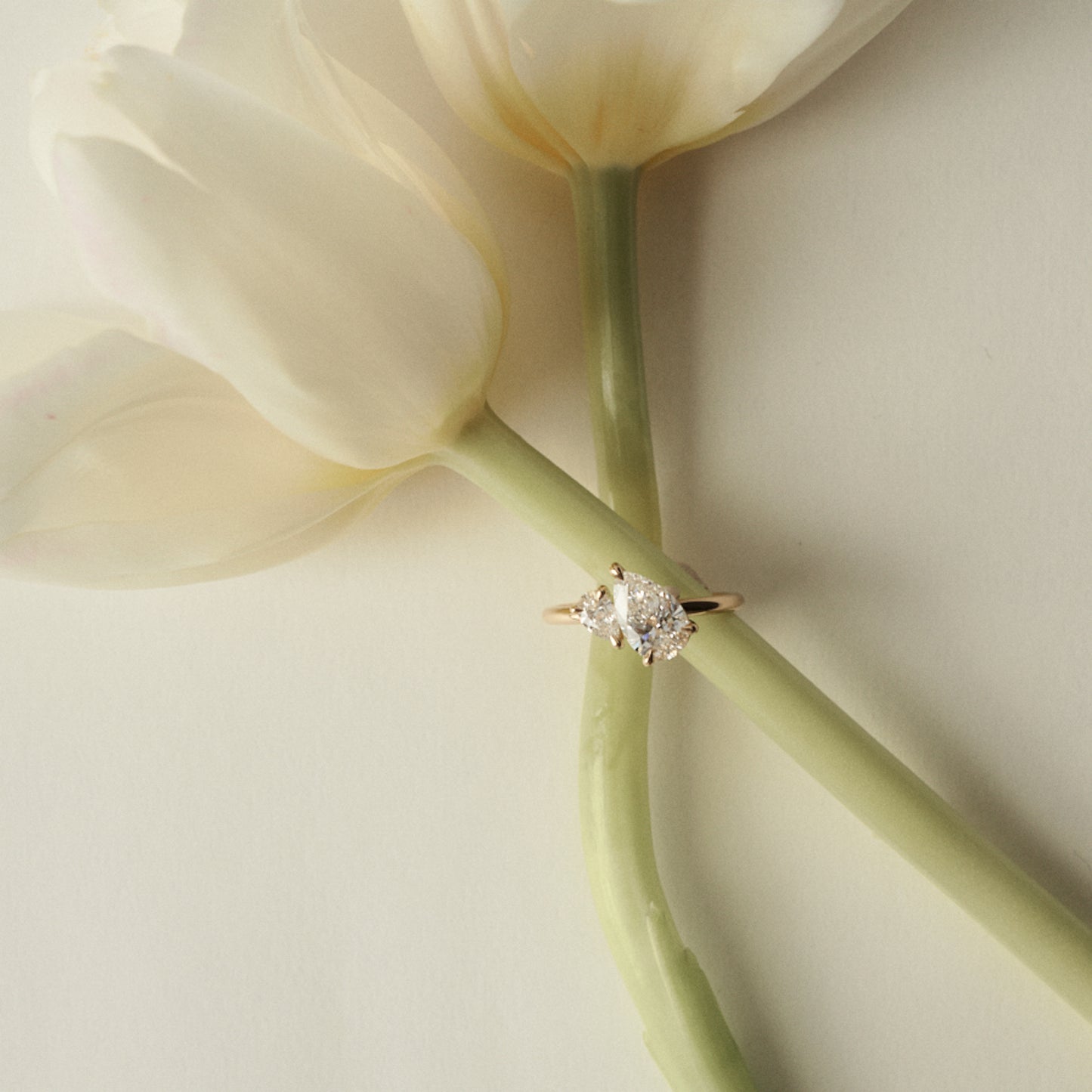 Diamond ring on a white tulip stem with a soft background
