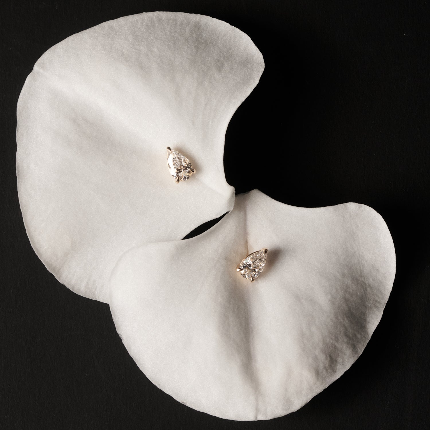 Pair of diamond earrings on a white petal with a black background