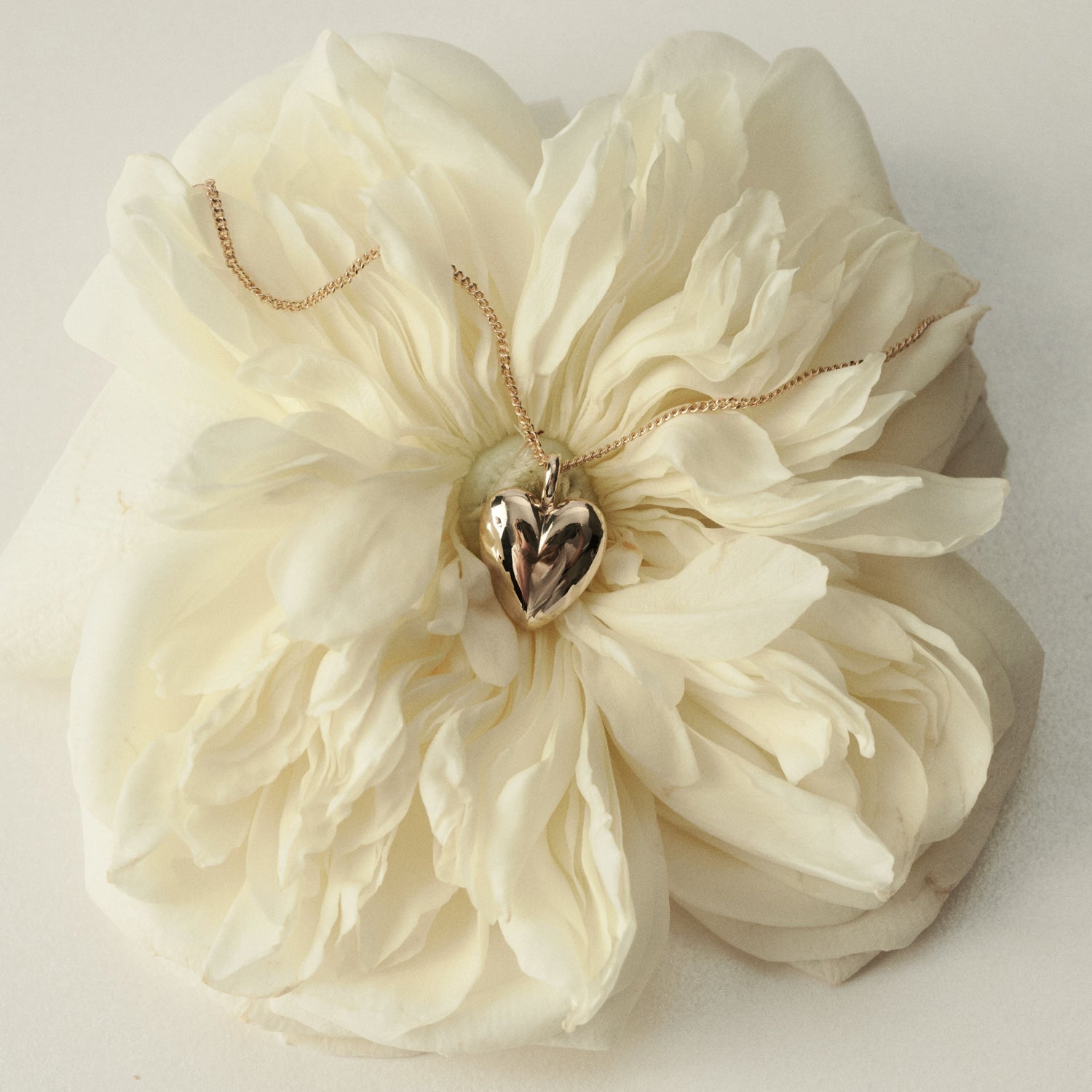 Gold necklace with a heart pendant draped over a large white flower on a light background