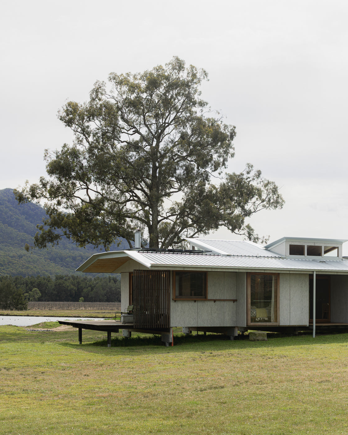 Modern Australian home with a large tree, set against scenic mountains. Features a flat roof and wooden accents, ideal for a luxury lifestyle.